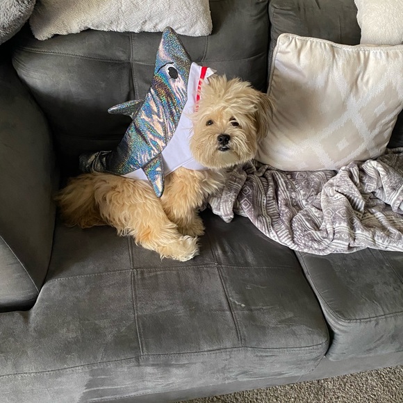 Meet your Posher, Alejandra - Picture 5 of 9